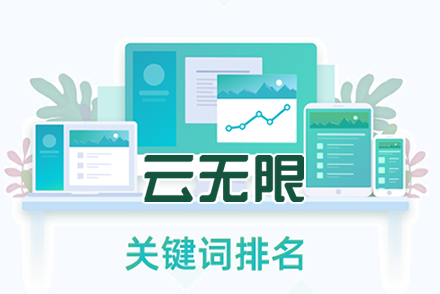专业seo网站